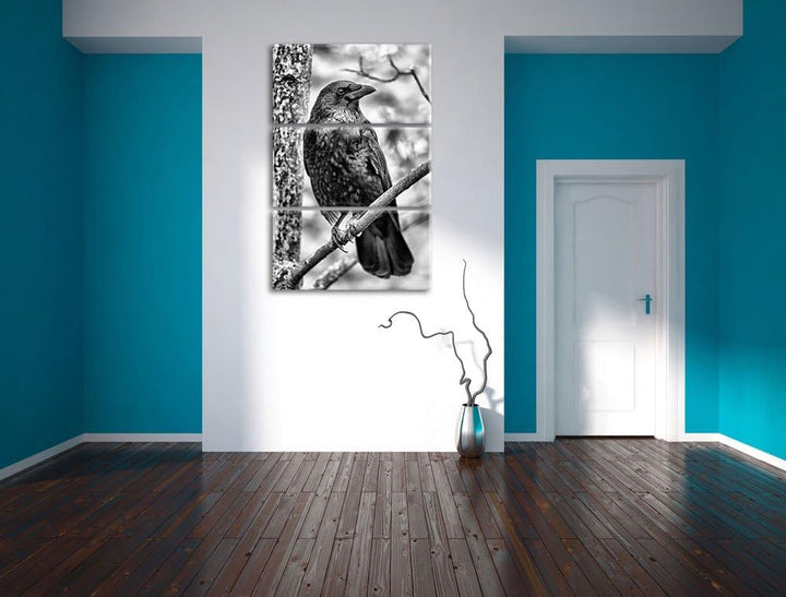 Pixxprint schwarzer Rabe auf AST als Leinwandbild/Grösse: 3 Teilig (120x80) / Wandbild/Kunstdruck/fe