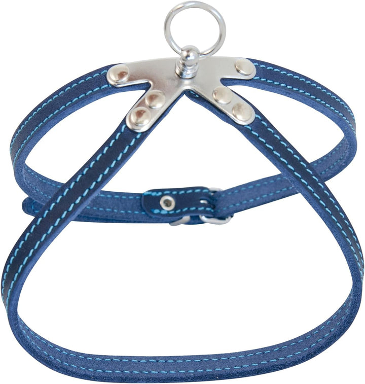 JACK AND VANILLA, Robustes Ledergeschirr für Hunde, individuelle Passform, verstärkte Sicherheit, Le