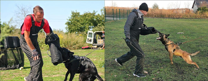 Dingo Gear Schutzarm ''Rocky'' Profilierte Dicker Beisswurst Recht Training Hund K9 IGP S00509 Schwa