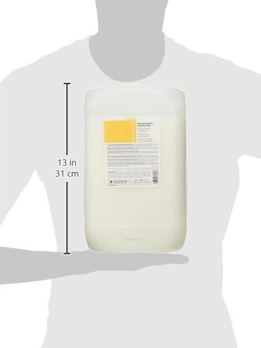 Fanola Nourishing restrukturierender Conditioner, 10000 ml, Duftend 10 l, 10 l