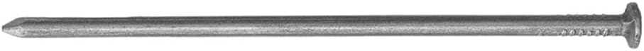 siwitec Drahtstifte blank, 5 kg, 3,1 x 80 mm, Bau- und Tischlerstifte, universell einsetzbare Drahtn