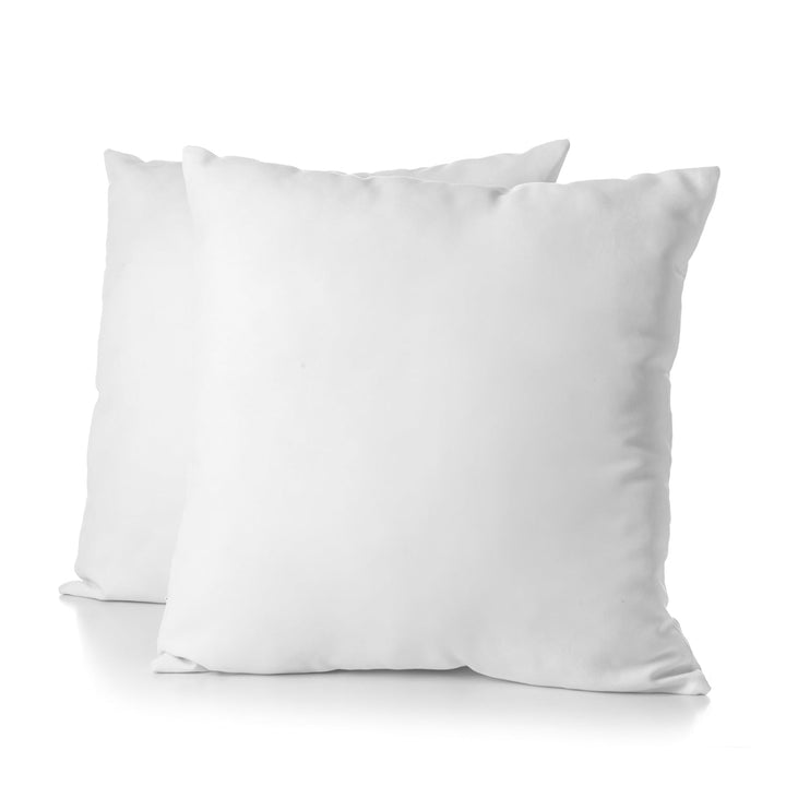 blanrêve - 2 Kissen Bio-Baumwolle – ästhetisch – Fester Komfort – 60 x 60 cm