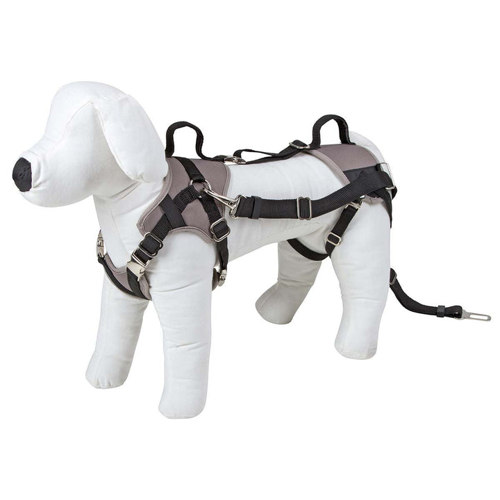 Kerbl 81337 Autosicherheitsgeschirr Travel Protect, S, grau, S