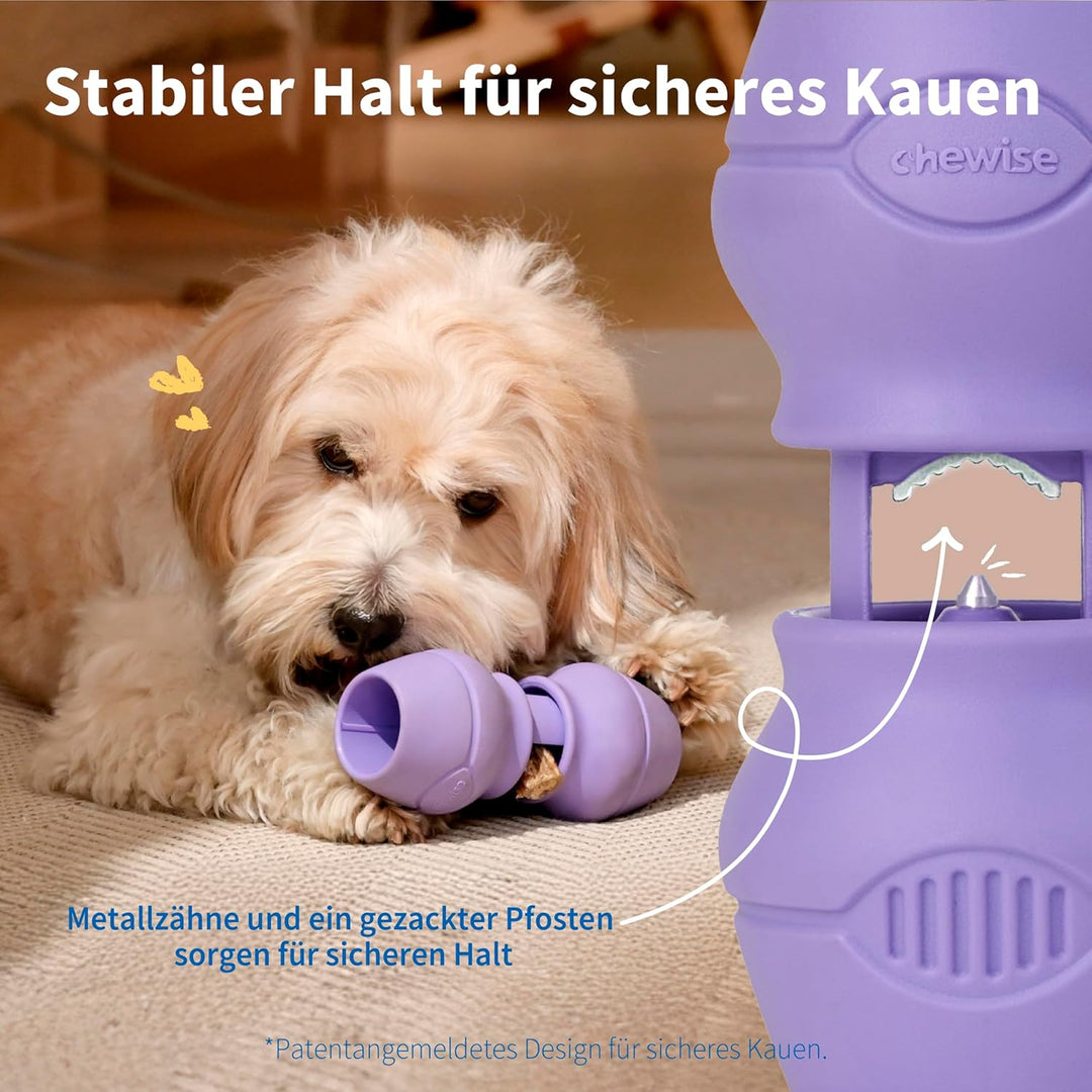 PetClan Chewise Bully Stick Halter – Ultimative Sicherheit & Robustes Design, BPA-frei, Verhindert E
