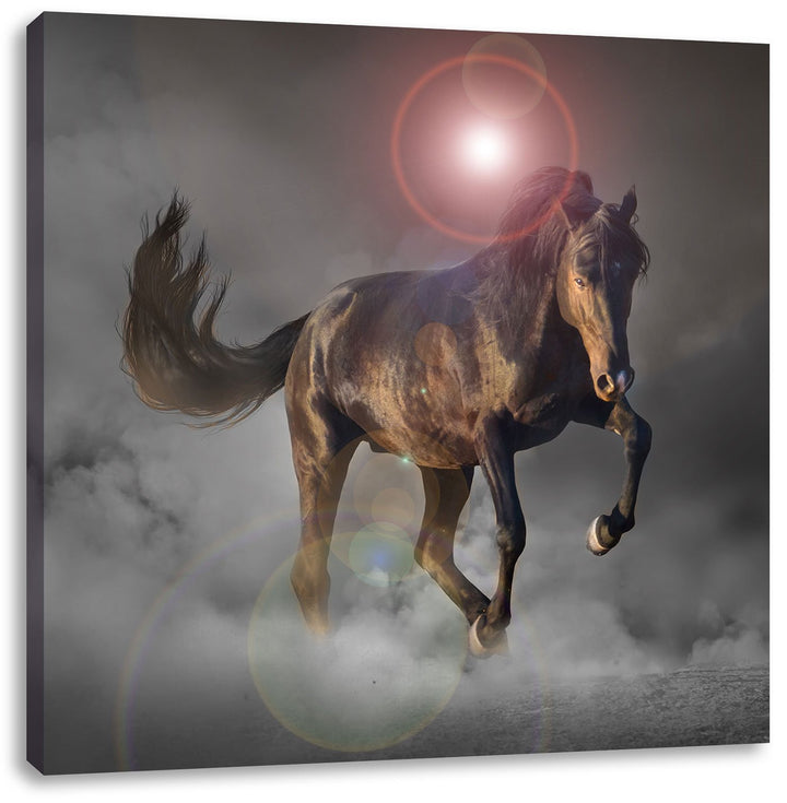 Elegantes Pferd beim springen schwarz/weiss, Format: 70x70 auf Leinwand, 70x70