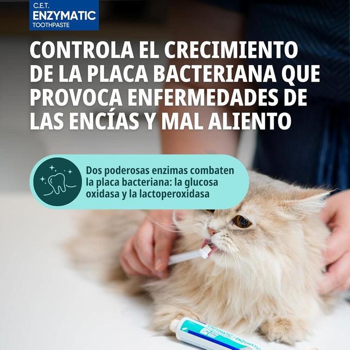 CET KIT CEPILLO + DENTIFRICO ENZIMATICO 70GR