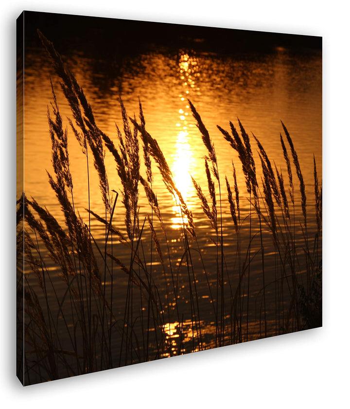 deyoli Gräser am Ufer eines Sees Format: 70x70 als Leinwand, Motiv fertig gerahmt auf Echtholzrahmen