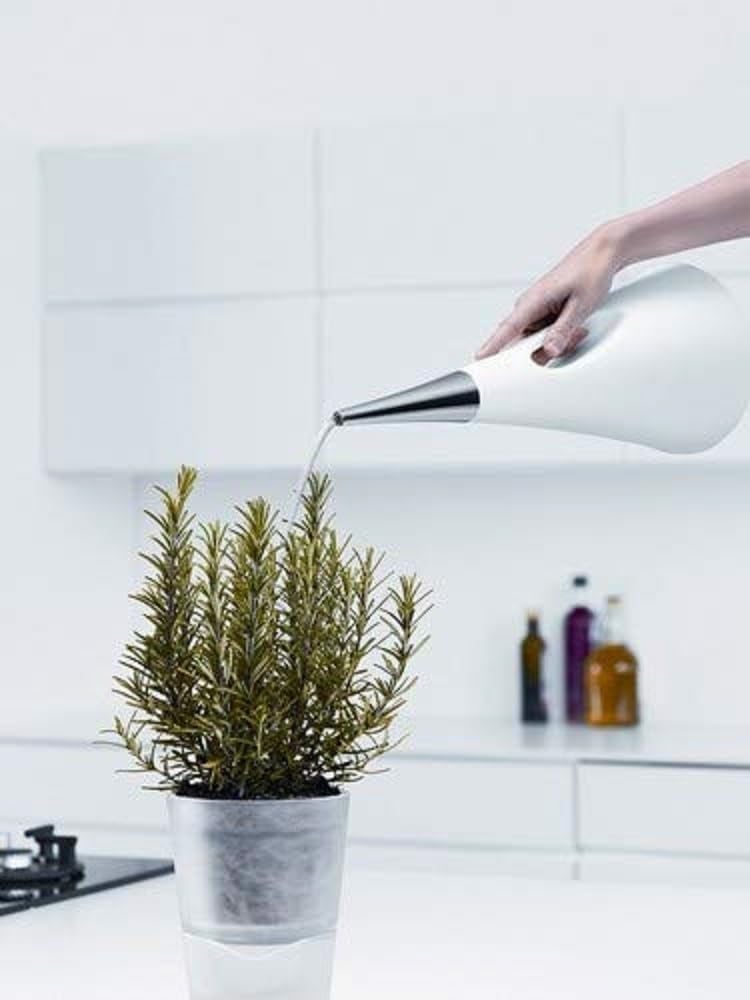 EVA SOLO | AquaStar Giesskanne 2,0l White | Spitze Tülle giesst in gleichmässigem Strahl | Weiss, We