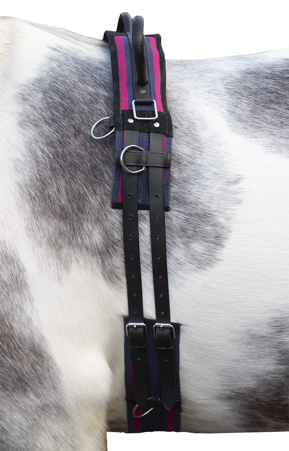 HKM Longiergurt Canvas mit Doppelgriff (Mini Shetty, Navy/Passion pink) navy/passion pink Mini Shett