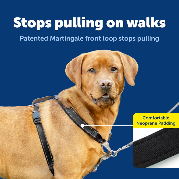 PetSafe 3in1 Harness, from The Makers of The Easy Walk Harness, Fully Adjustable No-Pull Dog Harness
