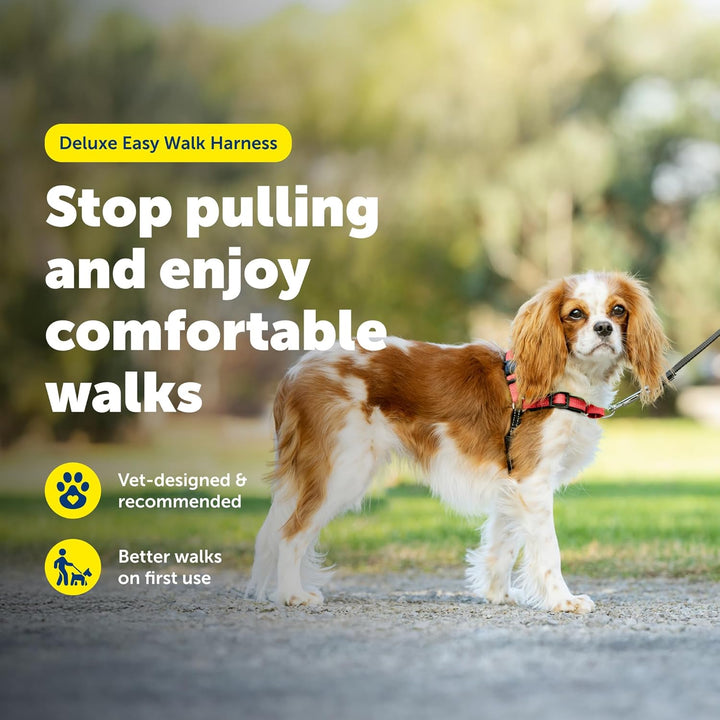 PetSafe Deluxe Easy Walk Hundegeschirr