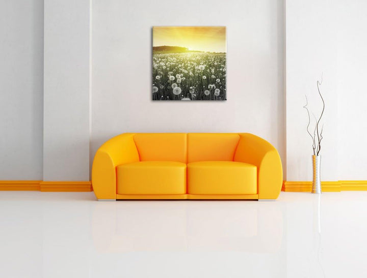 Pixxprint Pusteblumen Sonnenuntergang als Leinwandbild/Grösse: 70x70 cm/Wandbild/Kunstdruck/fertig b