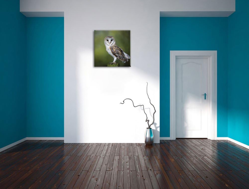 Pixxprint Eule, Format: 70x70 auf Leinwand, XXL riesige Bilder fertig gerahmt mit Keilrahmen, Kunstd