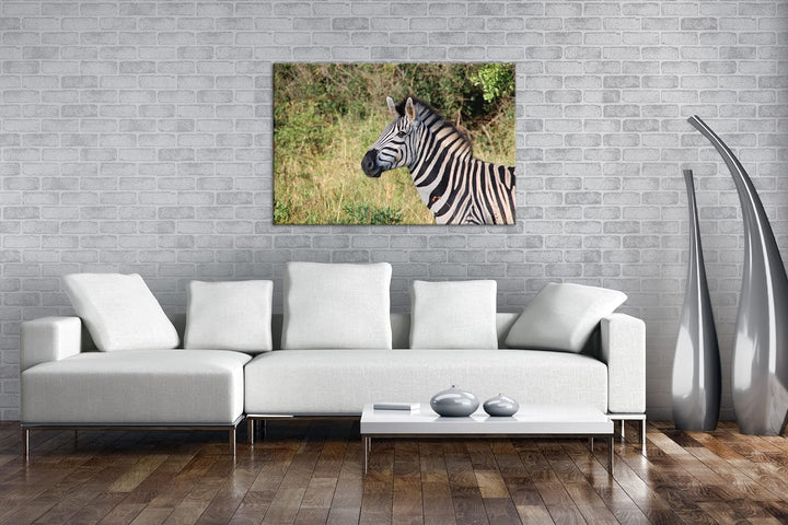 deyoli edles Zebra Format: 80x60 als Leinwand, Motiv fertig gerahmt auf Echtholzrahmen, Hochwertiger