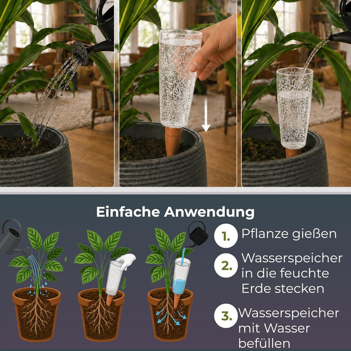 Scheurich Copa XL Bewässerung Wasserspender Bewässerungskugel grün transparent 5, 5