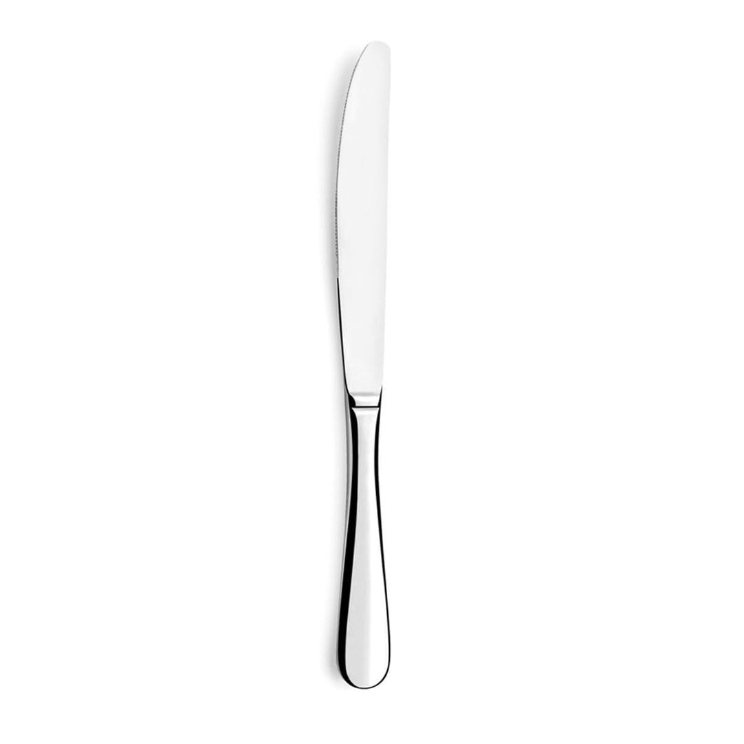 Amefa Baguette Set mit 12 Tafelmessern, Edelstahl 18/0, Länge 235 mm, 18/0_430, Silber, Messer