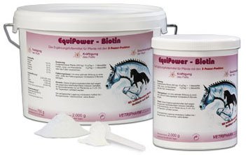 EquiPower Biotin 2kg