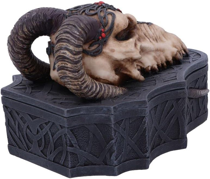 Nemesis Now Drachenschädel-Box (Monte Moore), Schwarz, 17,7 cm, 17.7cm