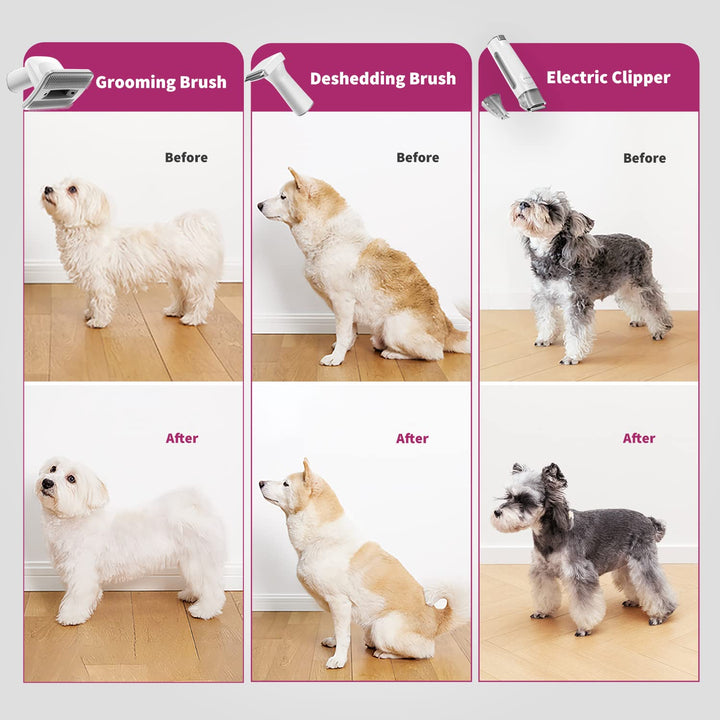 PETKIT Pet Grooming Vacuum Kit (LM4) Grau, Grau