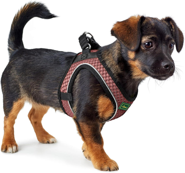 Hunter - Dog Harness Hilo Comfort. M, rosa - (401673969793)