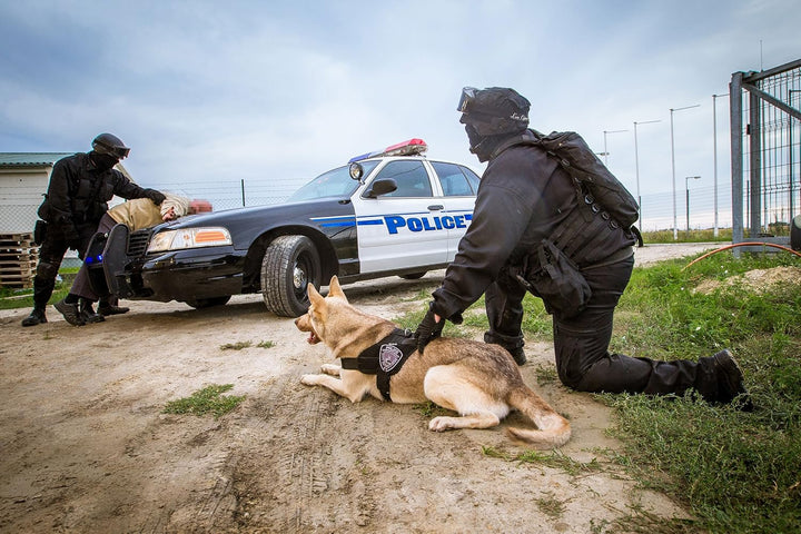 Julius-K9, 16STEALTH-P-1, IDC STEALTH Powergeschirr, Grösse: L/1, schwarz schwarz L / 1, schwarz L /