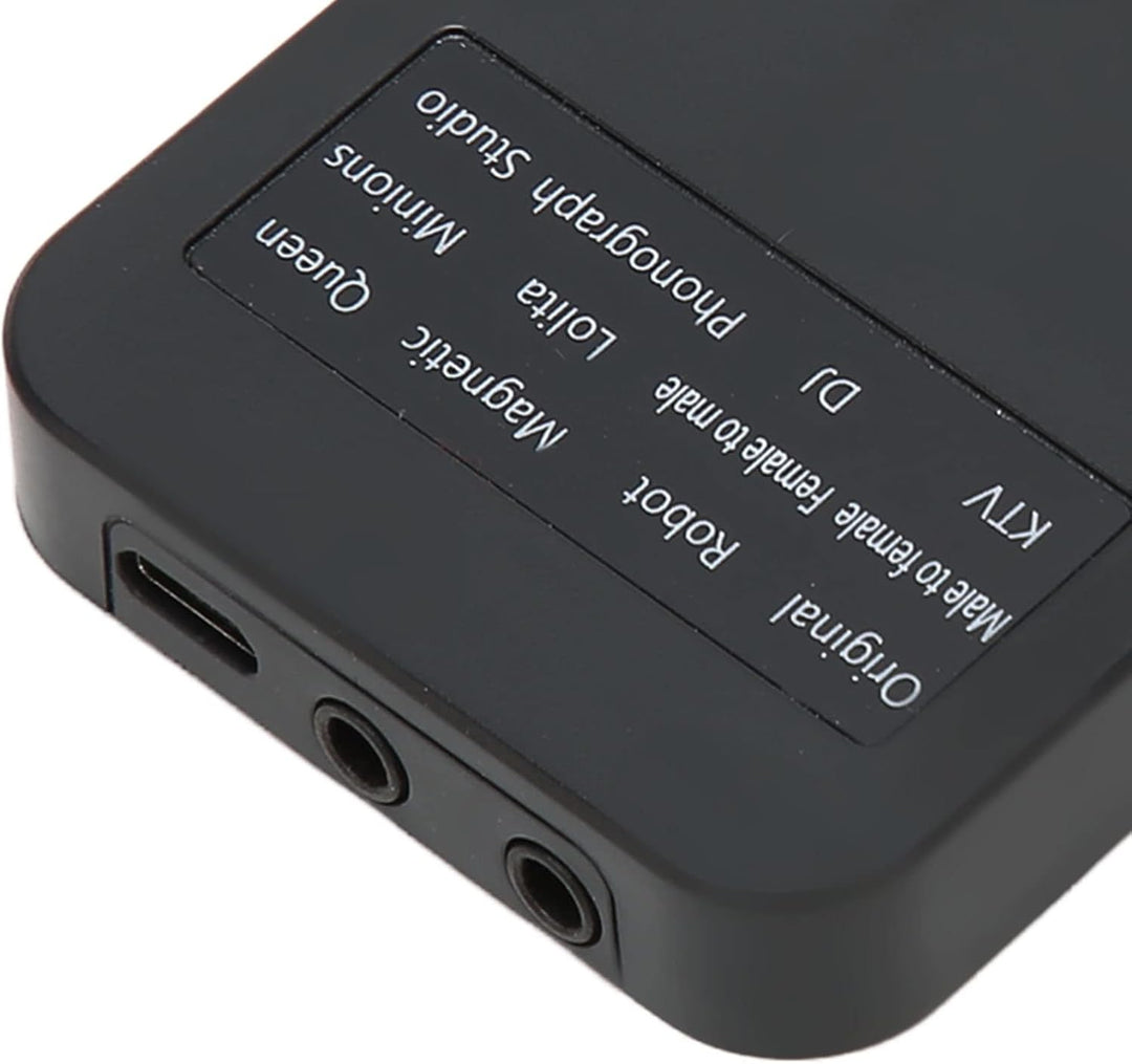 Ghostface Voice Changer, Handheld Microphone Voice Changer, Portable Voice Changer Device, with 8 So
