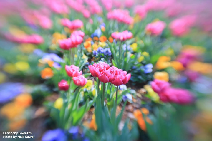 LensBaby - Mirrorless Sweet 22 - Standalone-Objektiv für Sony E - Kreativfilter - Sport On Focus Eff