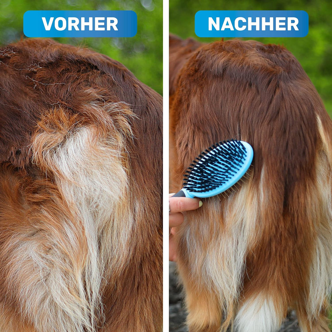 BluePet "DoppelDecker" 2in1 Hundebürste für Langhaar &amp; Kurzhaar - Auch für Welpen &amp; Katzen - Glätten