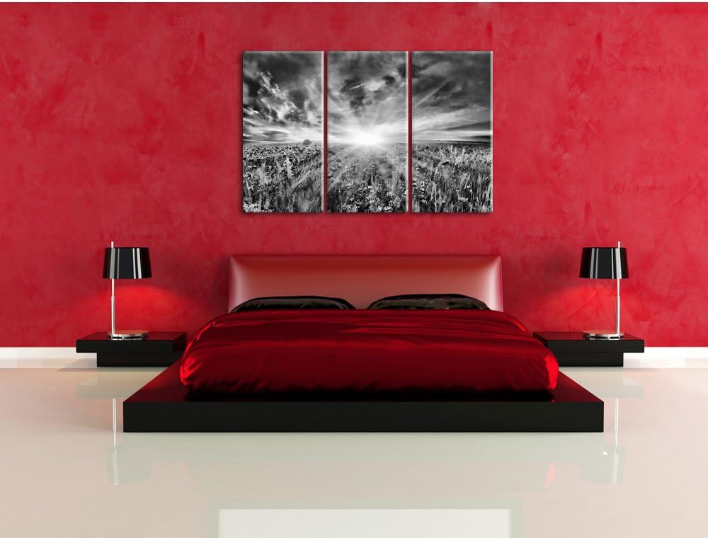 Pixxprint Monocrome, Blühende Mohnwiese in der Sonne 3-Teiler Leinwandbild 120x80 Bild auf Leinwand
