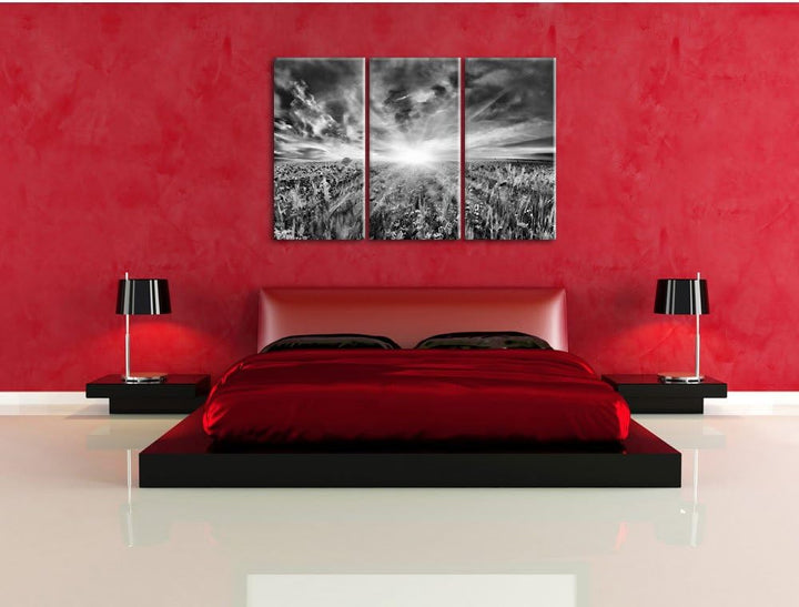Pixxprint Monocrome, Blühende Mohnwiese in der Sonne 3-Teiler Leinwandbild 120x80 Bild auf Leinwand