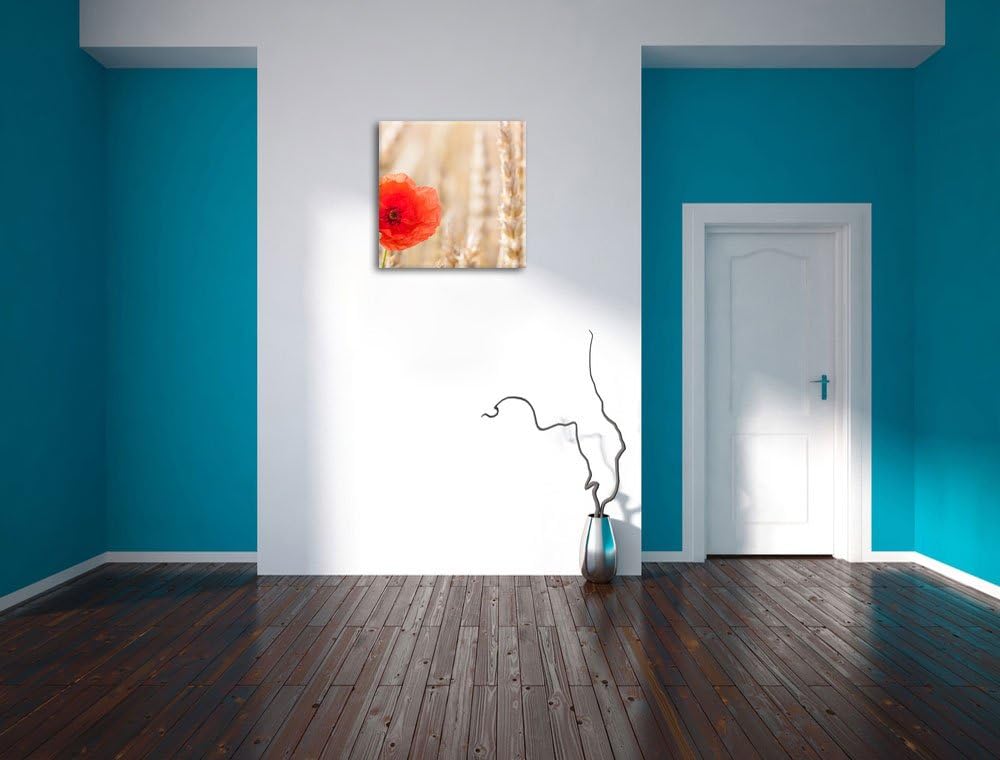 Mohnblume im Kornfeld, Format: 70x70 auf Leinwand, XXL riesige Bilder fertig gerahmt mit Keilrahmen,