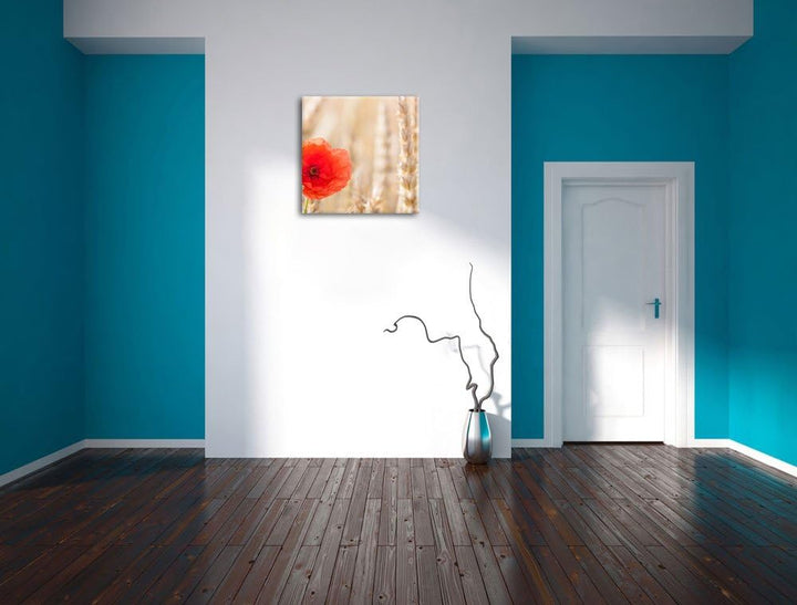 Mohnblume im Kornfeld, Format: 70x70 auf Leinwand, XXL riesige Bilder fertig gerahmt mit Keilrahmen,