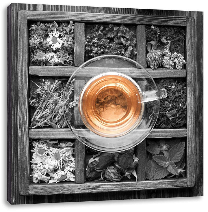 Pixxprint getrocknete Blumen und Gewürze schwarz/weiss, Format: 70x70 auf Leinwand, 70x70