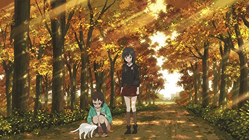 Shirobako - Volume 2/Episoden 05-08, DVD