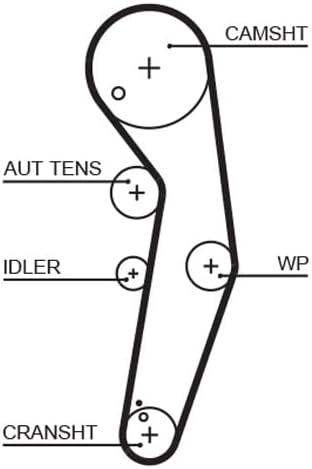 GATES Steuerriem 5569XS
