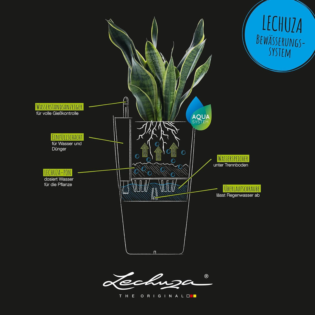 LECHUZA CUBICO Color 30 weiss 13130 Weiss 29.5x29.5x56.5 cm, Weiss 29.5x29.5x56.5 cm