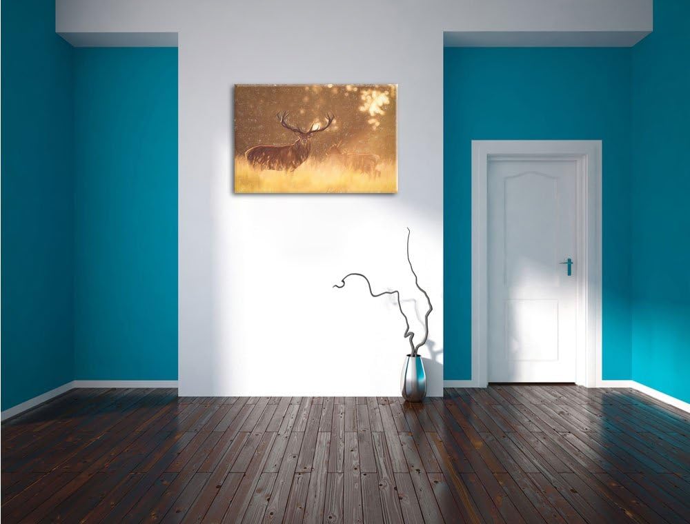 Pixxprint Rotwild im goldenen Morgenlicht als Leinwandbild | Grösse: 100x70 cm | Wandbild | Kunstdru