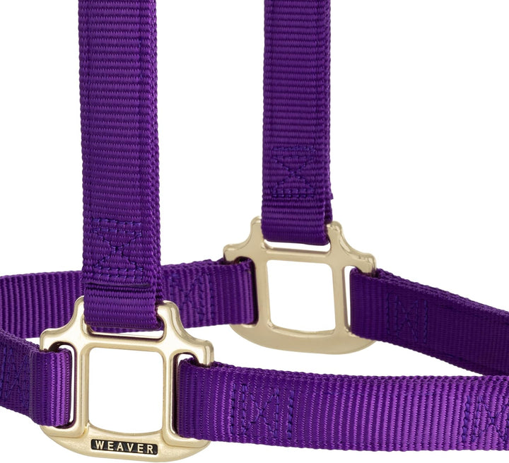 WEAVER Leather, Nicht verstellbares Halfter Violett Small Horse, Violett Small Horse