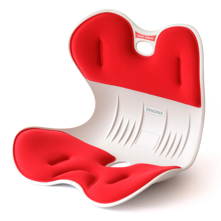 ERGONIX Lordosenstütze Haltungskorrekturstuhl für Frauen - Grösse M Ergonomischer Rückenstützstuhl z