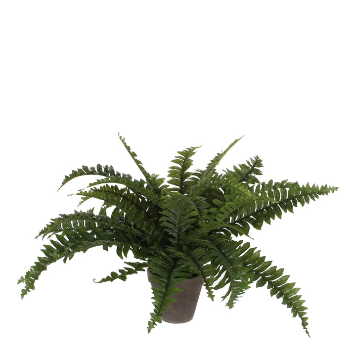 MICA Decorations Kunstpflanze, Polyester, Grün, H. 42 cm D 50 cm, H. 42 cm D 50 cm