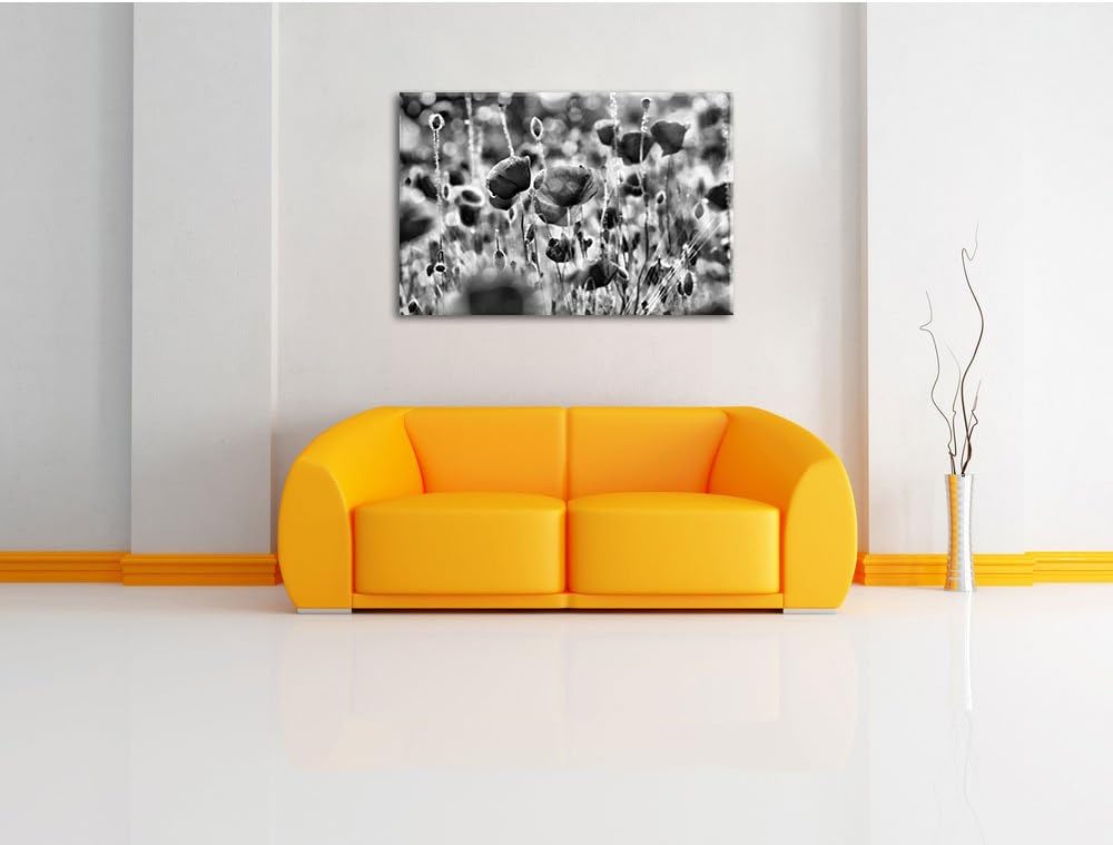 Monocrome, Mohnwiese, Format: 100x70 auf Leinwand, XXL riesige Bilder fertig gerahmt mit Keilrahmen,