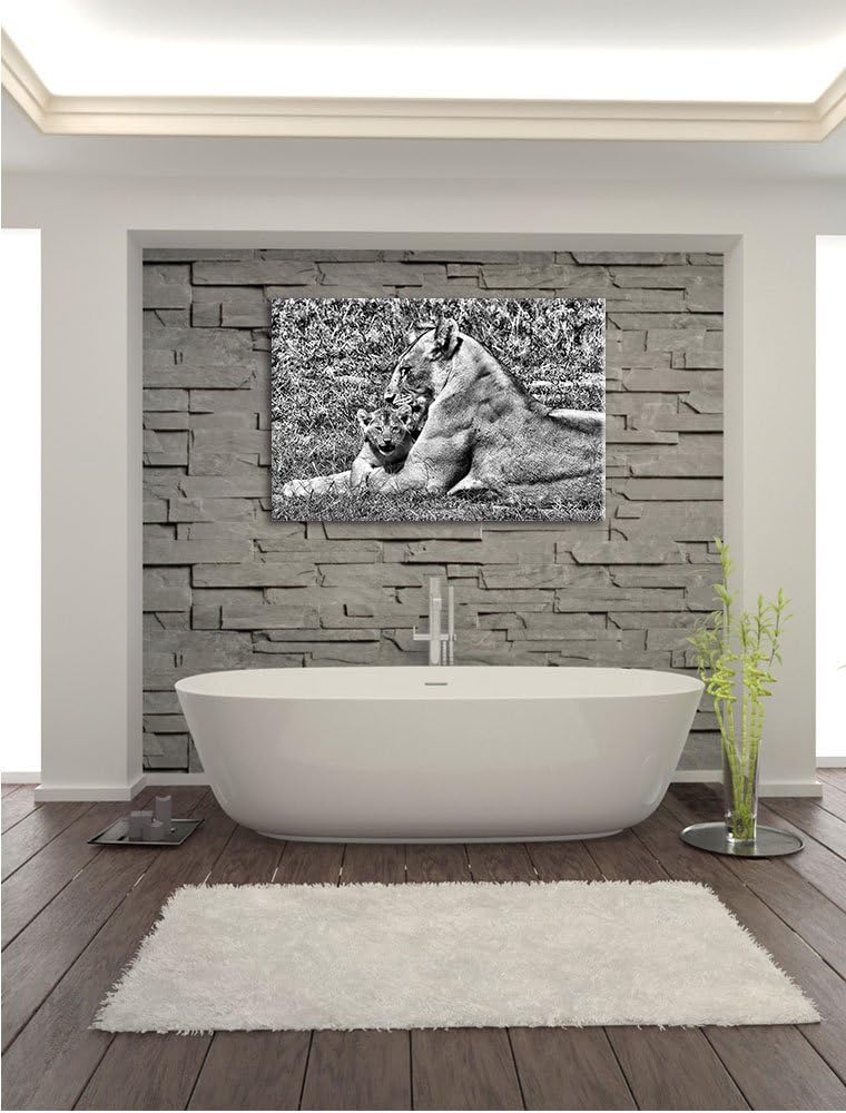 Pixxprint Monocrome, fürsorgliche Löwin putzt Ihr Junges, Format: 100x70 auf Leinwand, 100x70
