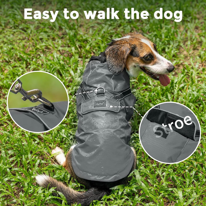 JoyDaog Regenmantel für extra kleine Hunde mit Kapuze, wasserdichte Outdoor-Regenjacke für Hunde, We