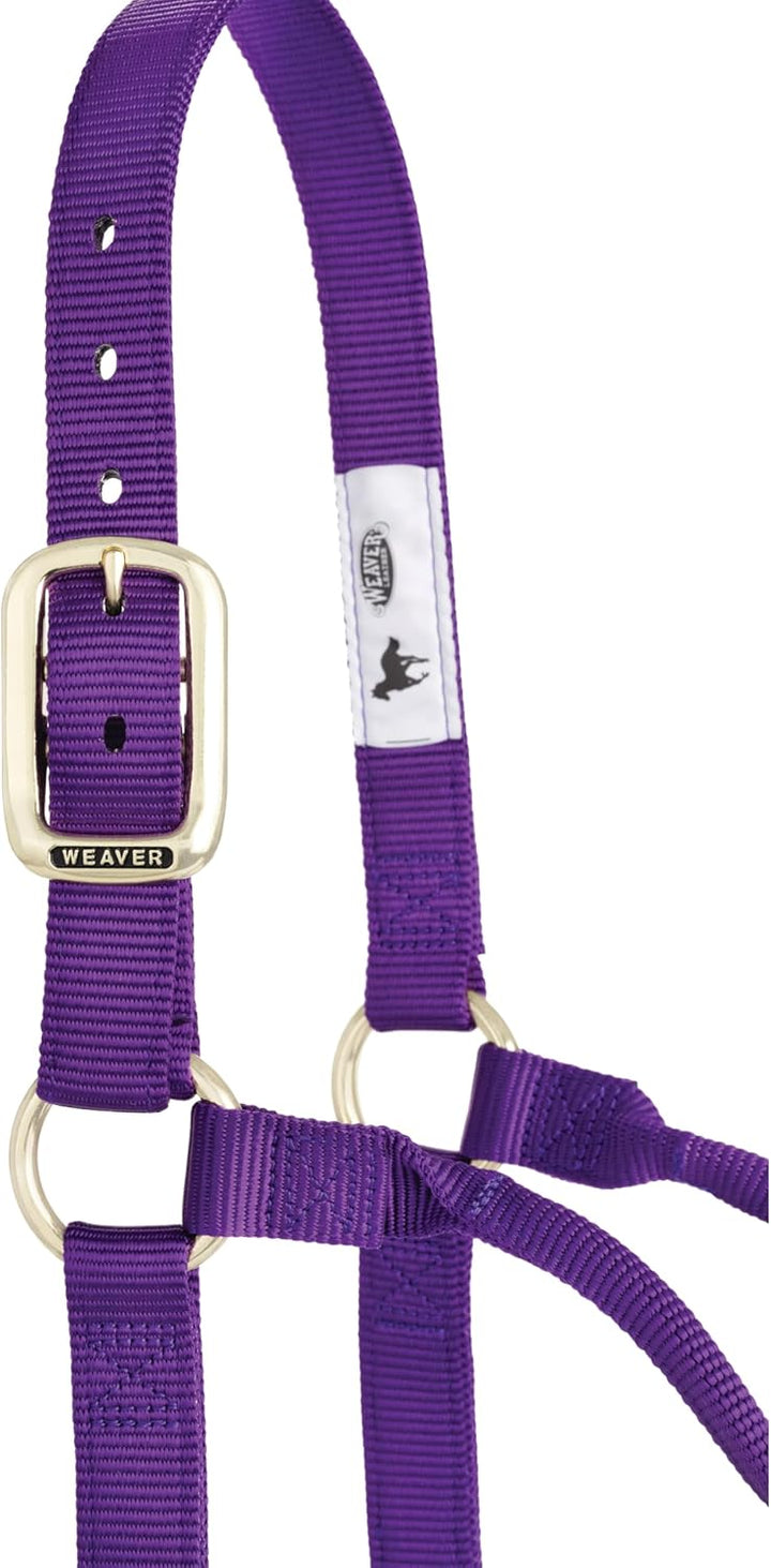 WEAVER Leather, Nicht verstellbares Halfter Violett Small Horse, Violett Small Horse