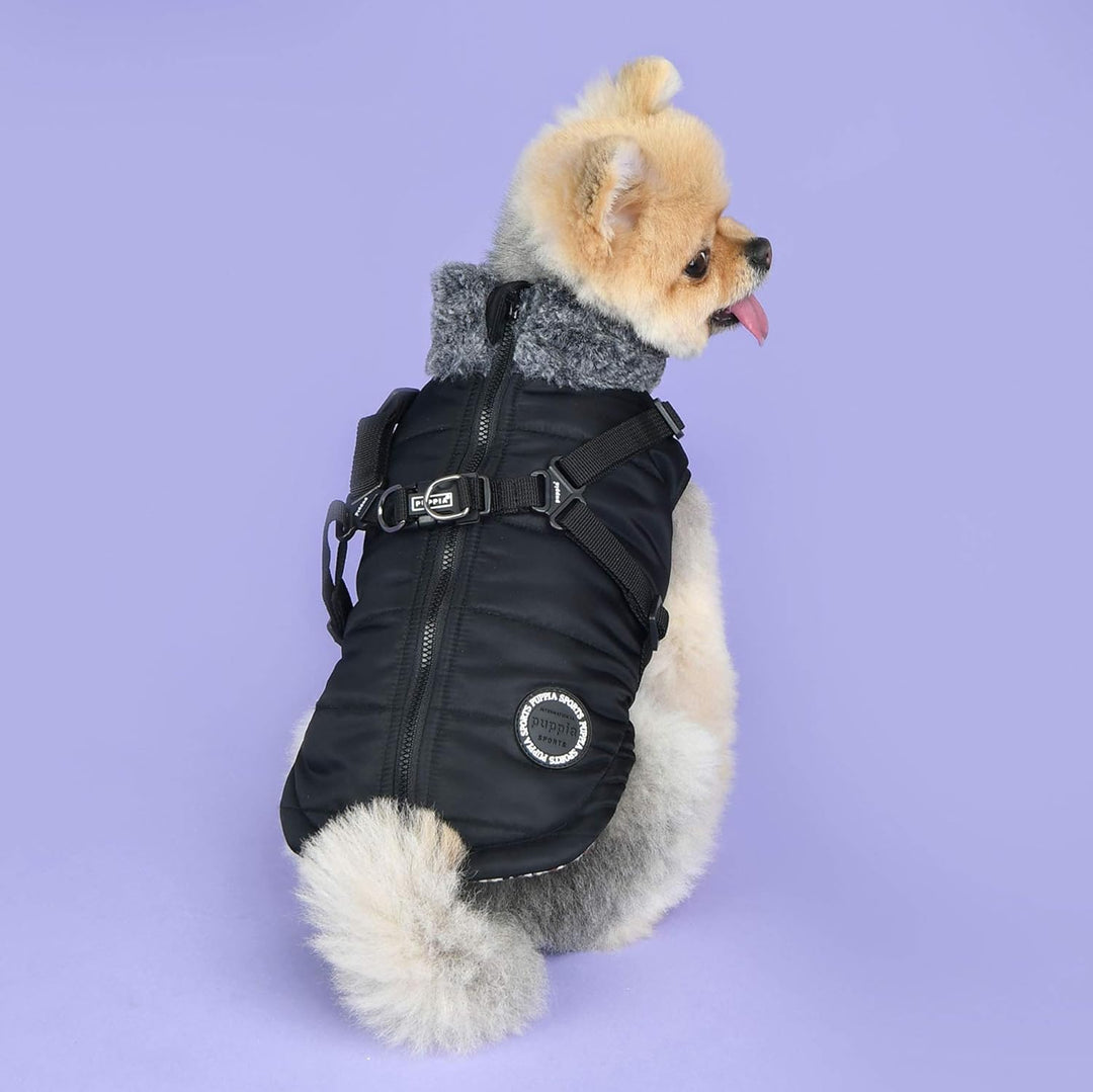 Puppia Donavan Winterweste – Schwarz – M schwarz M, schwarz M