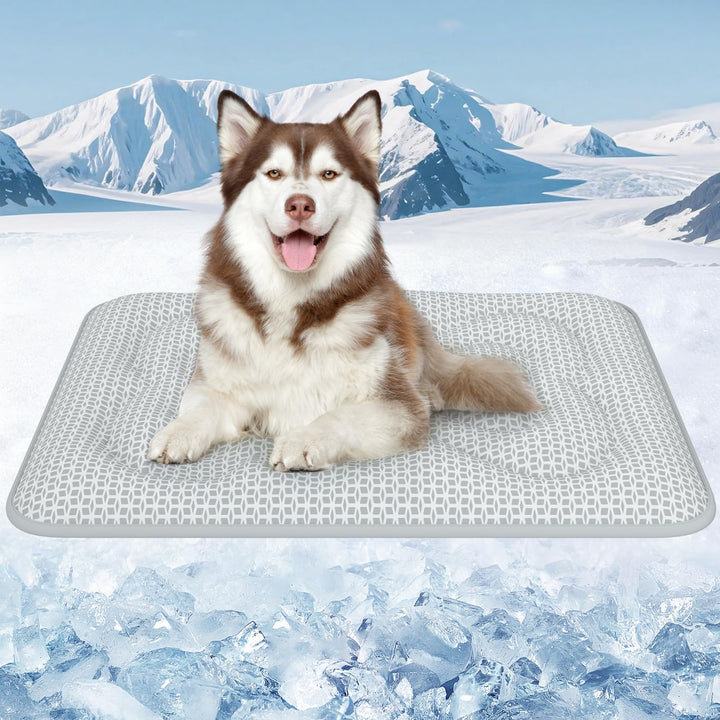 Rywell Kühlmatte Hund 90x70 cm, 3 cm Extra Dick &amp; Gelenkschonend, Farbwechsel-Selbstkühlend mit Arc-