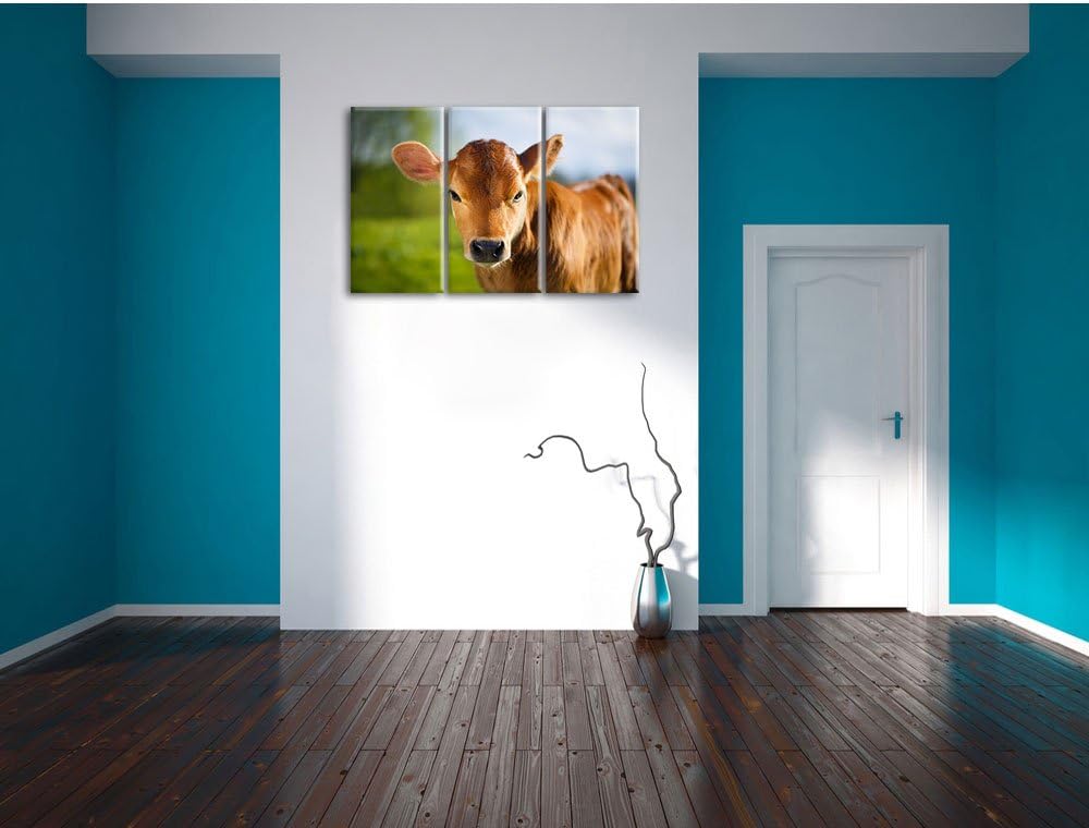 Pixxprint Junge Kuh Kälbchen als Leinwandbild - Grösse: 3-Teilig (120x80cm) - Wandbild - Kunstdruck