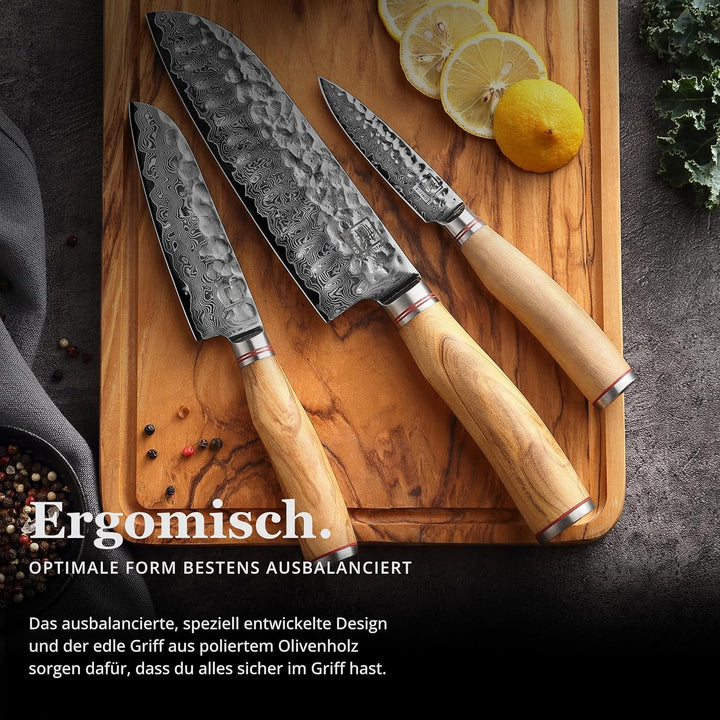 zayiko Minami Premium 3er Damastmesser-Set mit Klingen von 9-17 cm gefertigt aus 67 Lagen echtem Dam