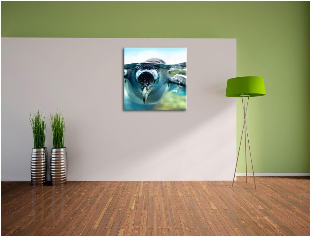 Pinguin im Wasser, Format: 70x70 auf Leinwand, XXL riesige Bilder fertig gerahmt mit Keilrahmen, Kun