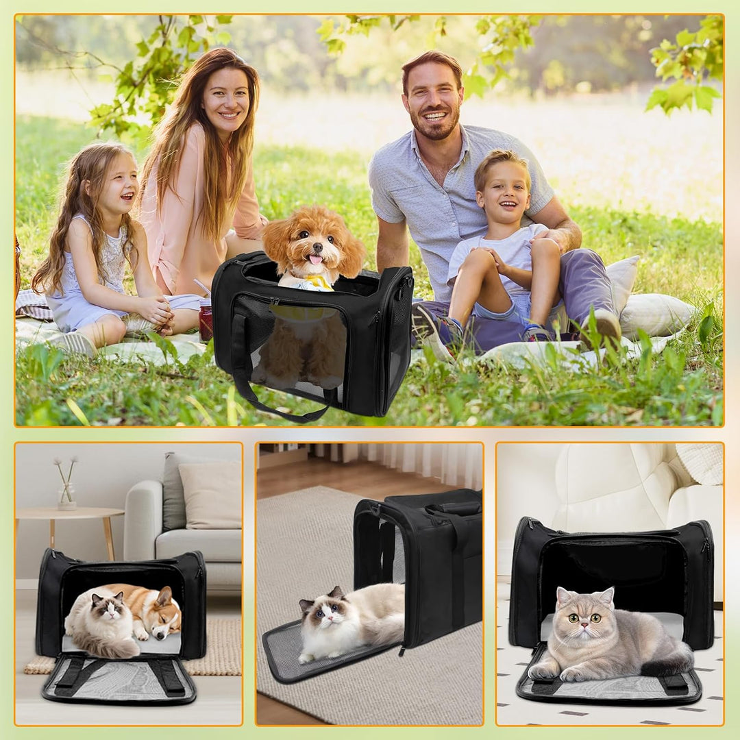 Transporttasche für Katze Hund 51x33x33cm Hundetransportbox, Faltbare Katzentransportbox Tragbar Bis